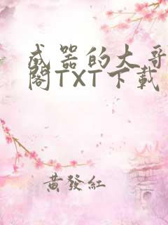成器的大哥笔趣阁TXT下载