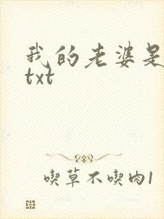 我的老婆是警察txt