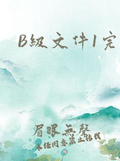 B级文件1完整
