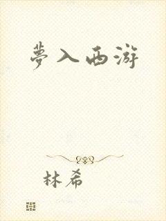 梦入西游