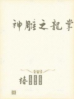神雕之龙掌门