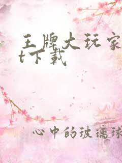 王牌大玩家txt下载