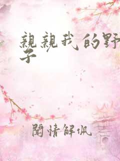 亲亲我的野猪王子