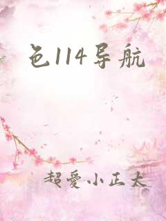 色114导航