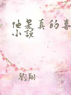 他是真的喜欢你小说