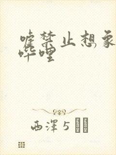 嘘禁止想象哔哩哔哩