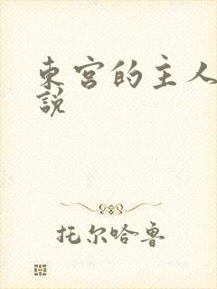 东宫的主人 小说