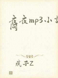 夜夜mp3小说网