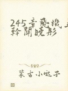 245章飞机上干关晓彤