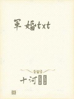 军婚txt