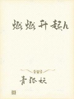 燃燃升起h