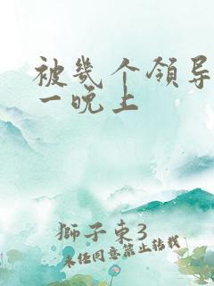 被几个领导玩弄一晚上