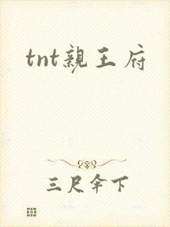 tnt亲王府