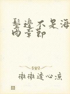 鬓边不是海棠红肉章节