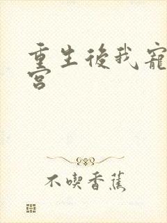 重生后我宠冠东宫