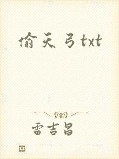 偷天弓txt