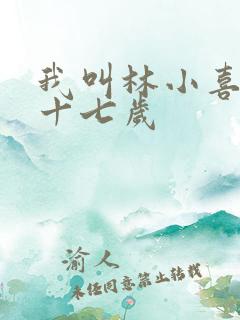 我叫林小喜今年十七岁