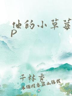 他的小草莓POP