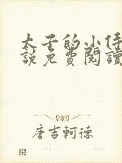 太子的小侍妾小说免费阅读全文