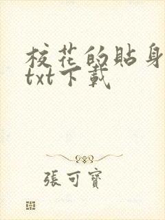 校花的贴身保镖txt下载