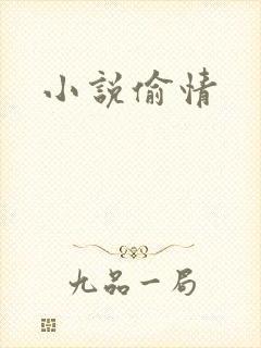 小说偷情