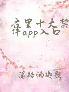 夜里十大禁用软件app入口