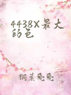 4438X最大的色
