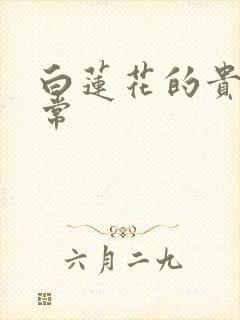 白莲花的贵妇日常