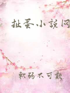 扯蛋小说网
