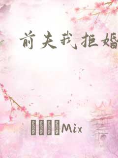 前夫我拒婚