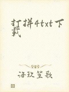 打拼4txt下载