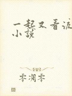 一起又看流星雨小说