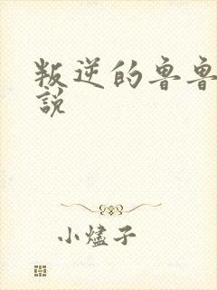 叛逆的鲁鲁修小说