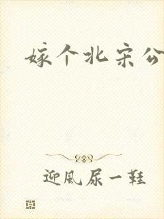 嫁个北宋公务员