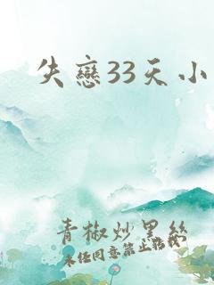 失恋33天小说