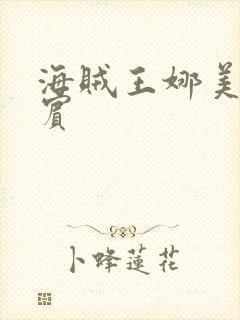 海贼王娜美h罗宾