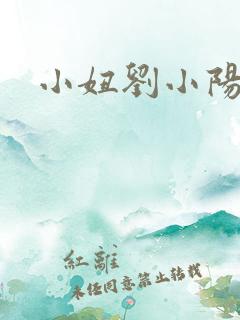 小妞刘小阳