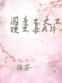 国产又大又粗又硬又长A片小说