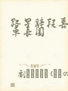 路星辞段嘉衍肉车长图