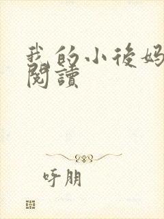 我的小后妈免费阅读