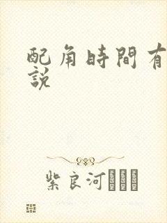 配角时间有限小说