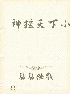 神控天下小说