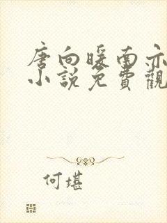 唐向暖南亦琛的小说免费观看