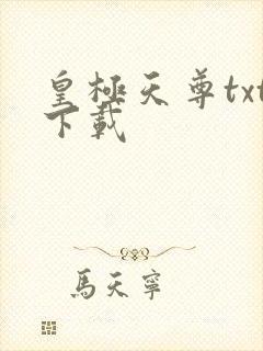 皇极天尊txt下载