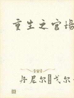 重生之官场风流