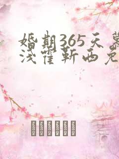 婚期365天慕浅霍靳西免费阅读