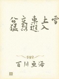 公交车上雪柔被猛烈进入