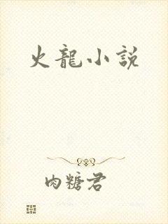 火龙小说