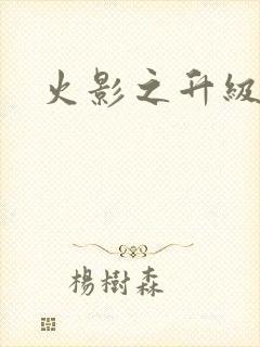 火影之升级狂人