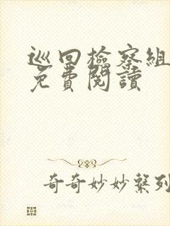 巡回检察组小说免费阅读